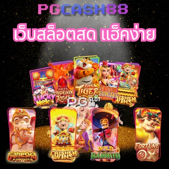 maxwin99